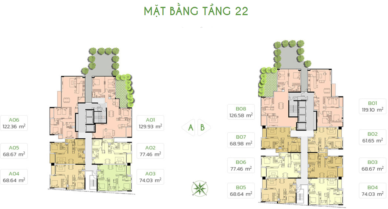 Tang-22