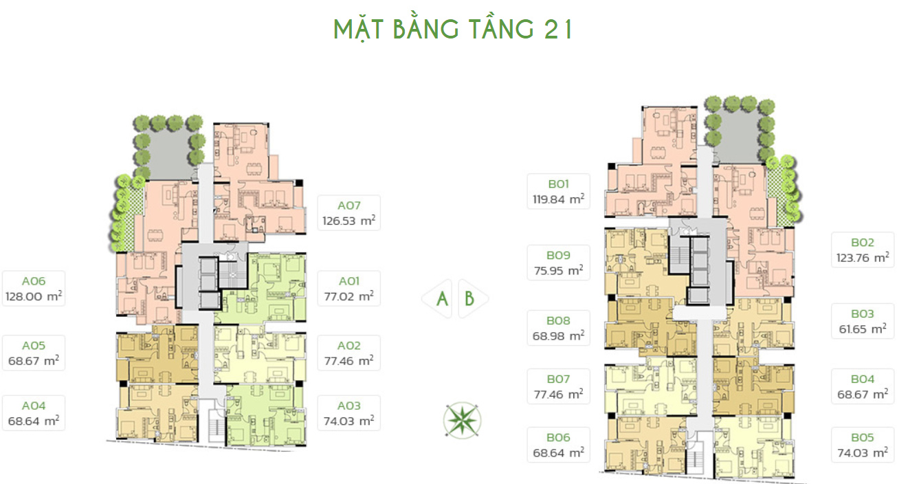 tang-21