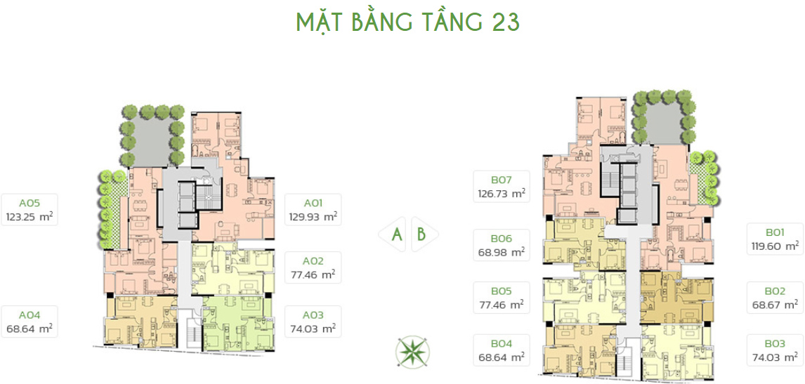 tang-23